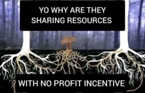 WHY ARE THEY SHARING RESOURCES WITH NO PROFIT INCENTIVE
