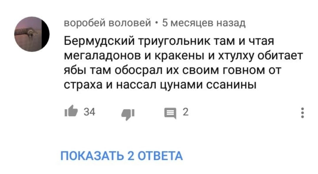 воробей воловей 5 месяцев назад Бермудский триугольник там и чтая мегаладонов и кракены и хтулху обитает ябы там обосрал СВОИМ ГОВНОМ страха и нассал цунами ссанины а 2 ПОКАЗАТЬ 2 ОТВЕТА