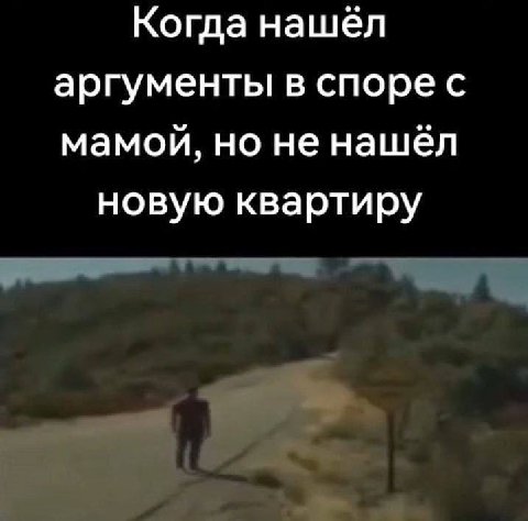 Когда нашёл аргументы в спорес мамой, но не нашёл новую квартиру