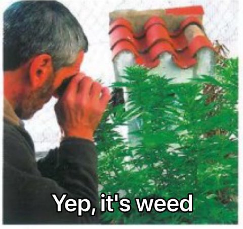Уер, wee