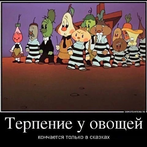 16 Терпение у овощей кончается только в сказках