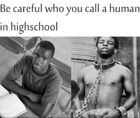 Be careful who you calla human in