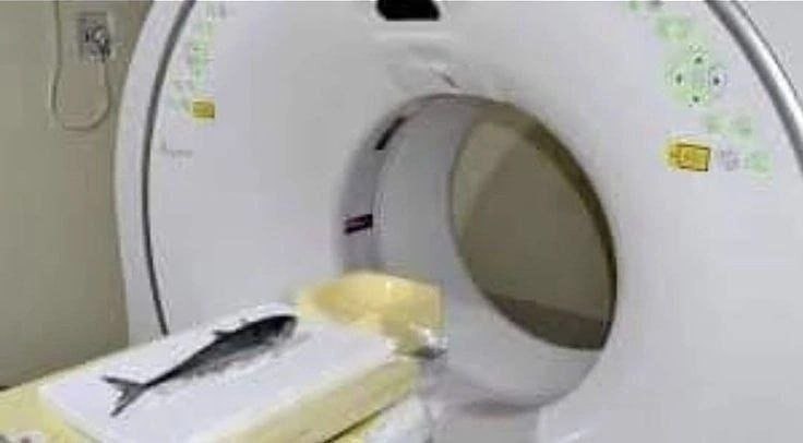 за