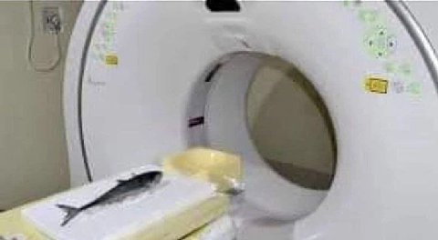 за