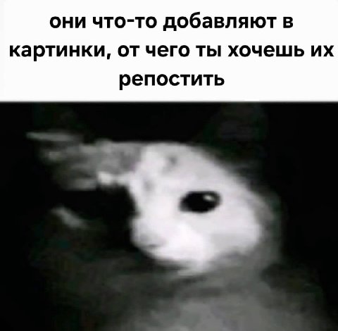 они что-то добавляют в картинки, от чего ты хочешь репостить