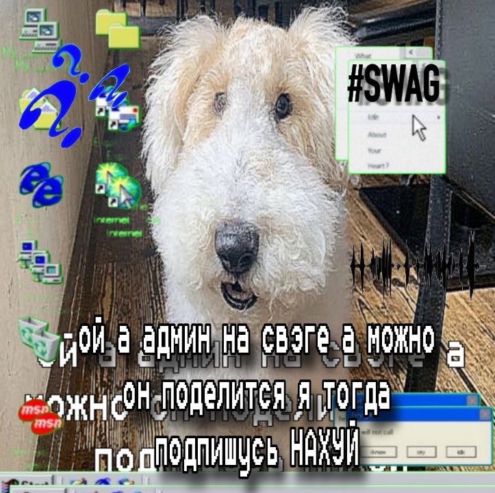 а AOMMH а i i ПОДЕЛИТСЯ ПОДПИШИСЬ