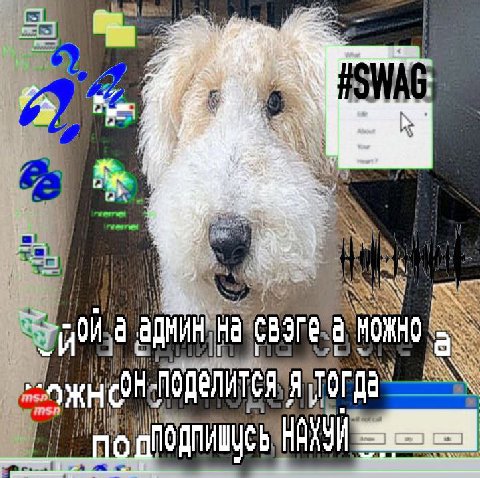 а AOMMH а i i ПОДЕЛИТСЯ ПОДПИШИСЬ