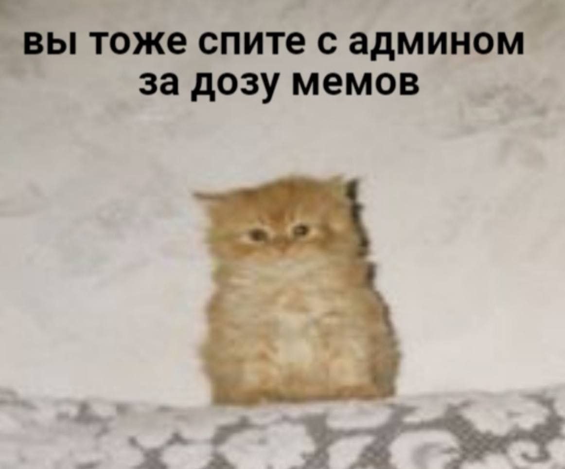 вы тоже спите с админом за дозу мемов