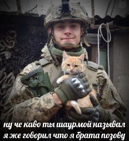 a A ну че каво ты шаурмой HAZ я же говорил что я брата позову