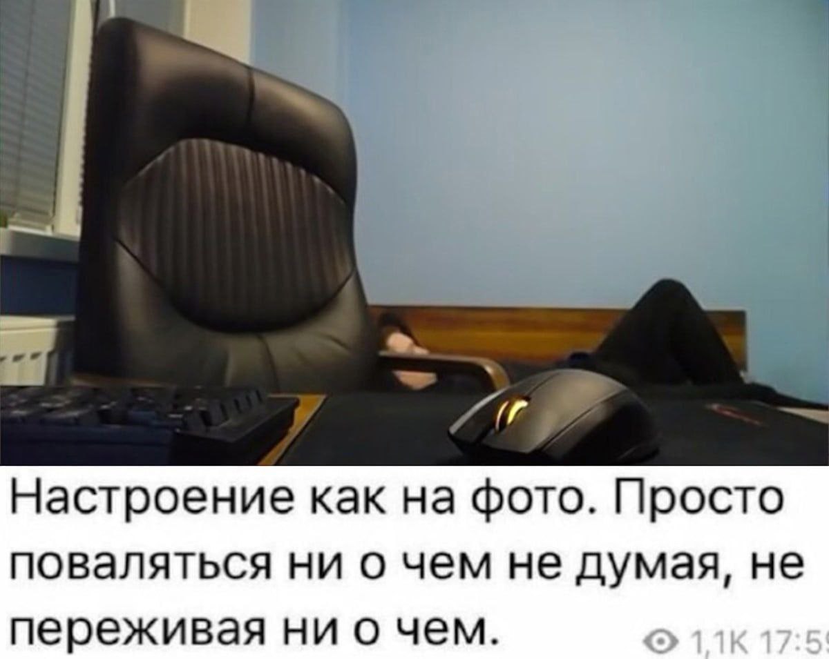 Настроение как на фото. Просто поваляться ни о чем не думая, не переживая ни о чем. 17:5