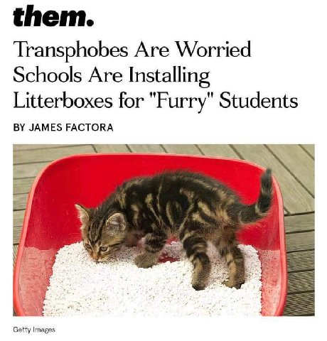 them. Transphobes Are Worried Schools Are Installing Litterboxes for "Furry" Students JAMES FACTORA Getty Images