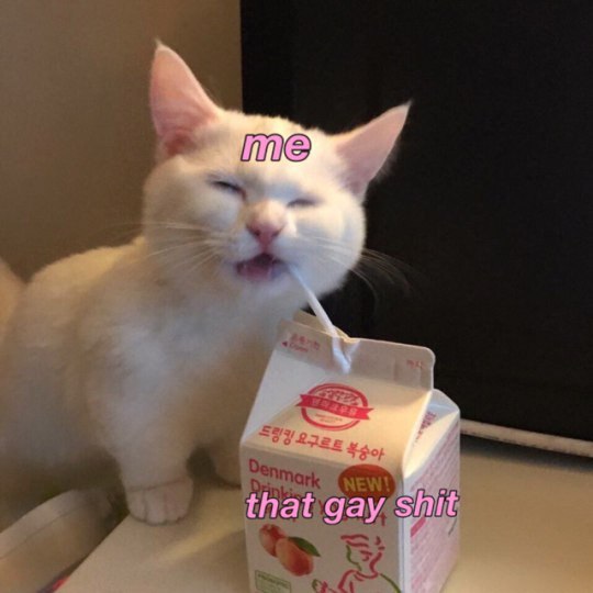 that gay