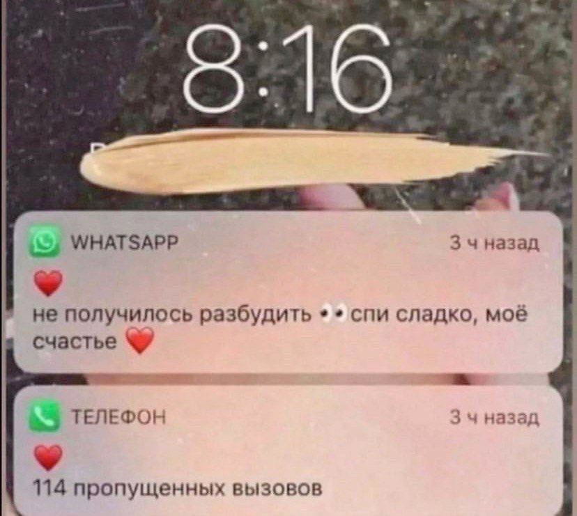 816 5; WHATSAPP 3 чназад не получилось разбудить спи сладко, моё счастье ТЕЛЕФОН 3 назад 114 пропущенных вызовов