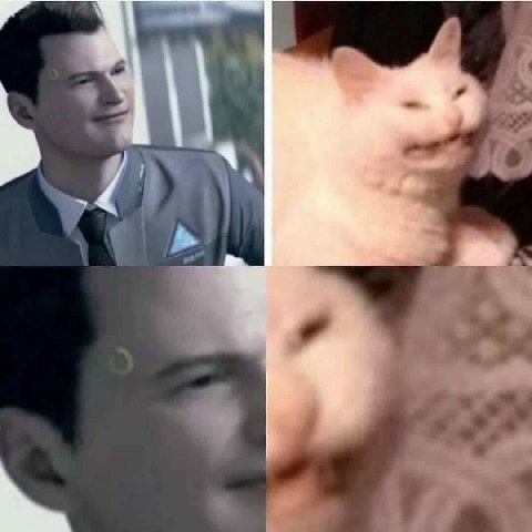 у