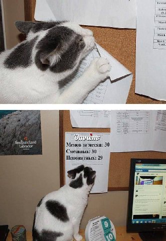 Februa 18-2 i Februar March а Магей. 3 an Newfoundland Labrador Memos за месяц: 30 Смешных: 30 Непонятных: 29 facebook а 9 1