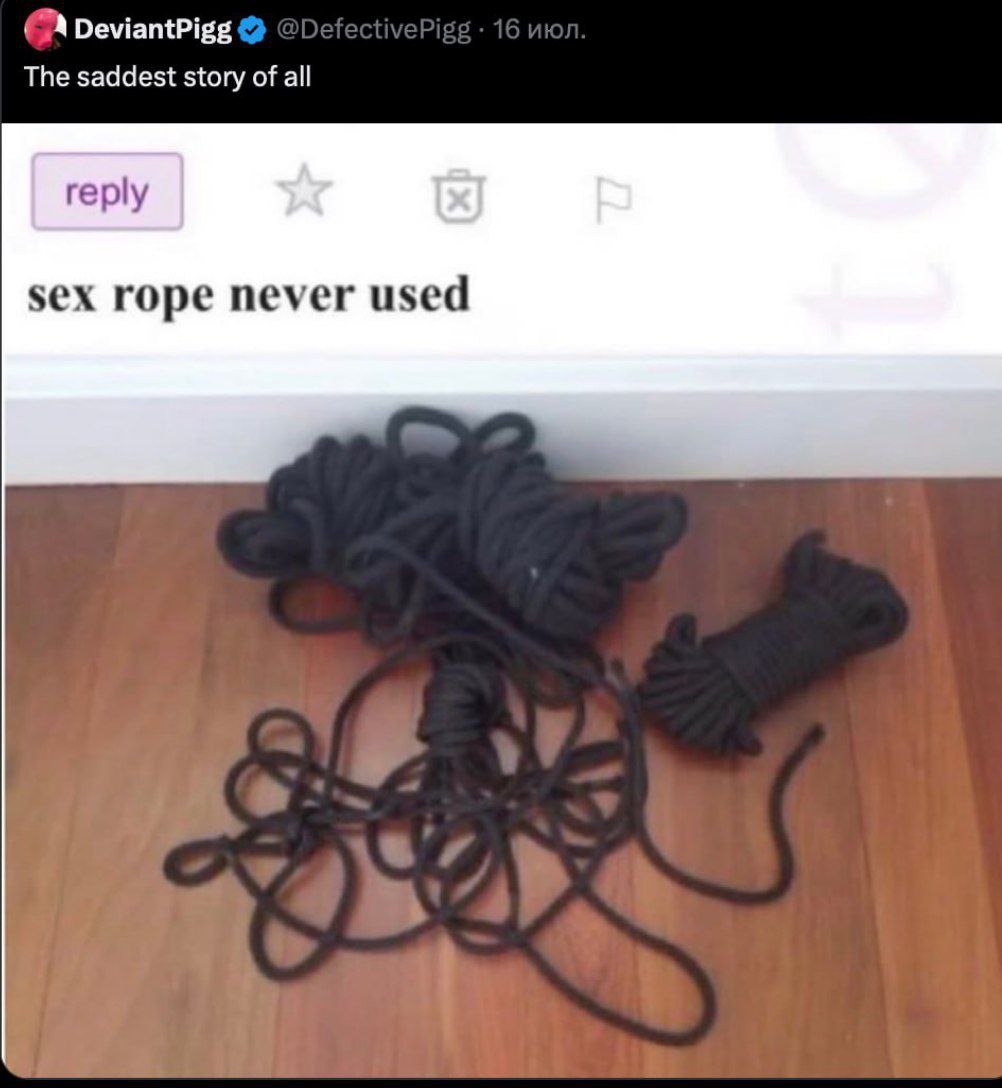 DeviantPigg The saddest story of all reply sex rope never used