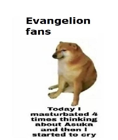 Evangelion fans Today 1 masturbated times thinking about Asuka and then 1 started to cry