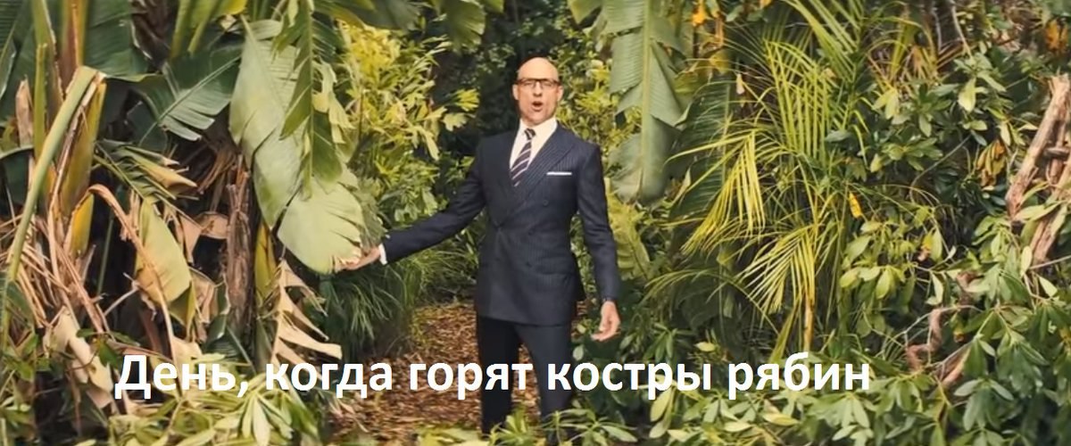 a i горят костры рябин