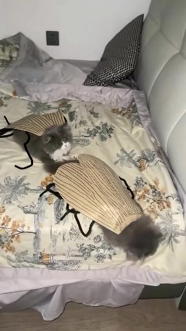 мем
