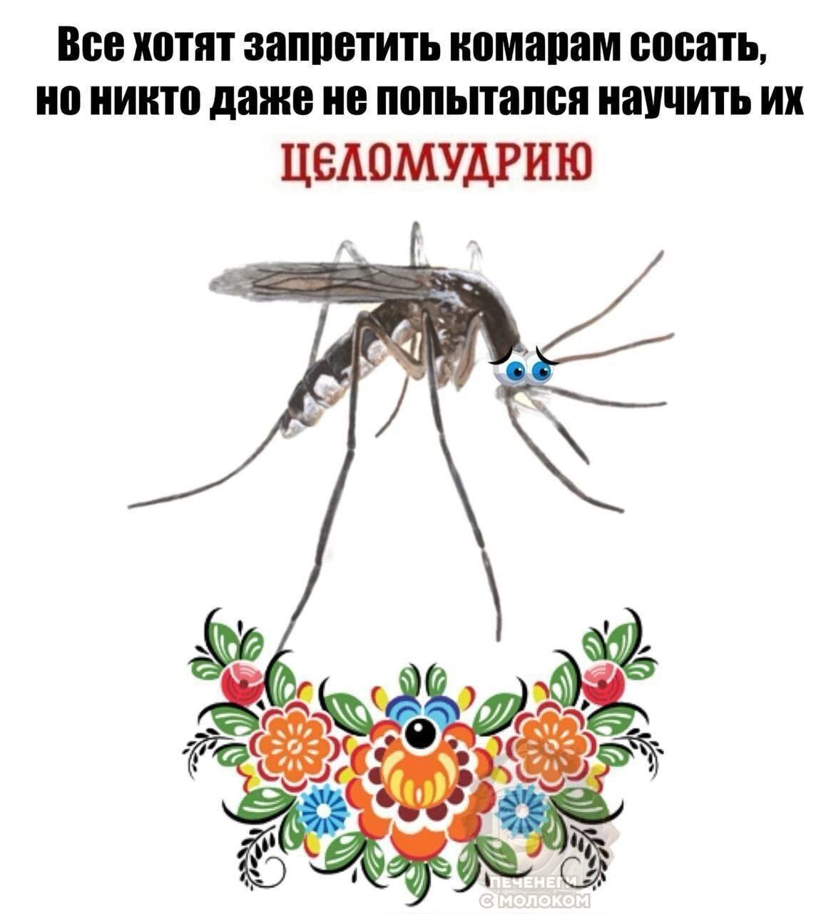 Все хотят запретить комарам сосать, никто даже не попытался научить