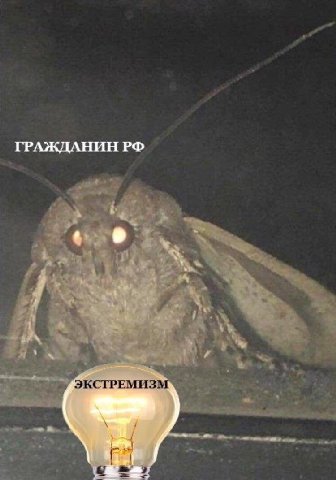 ГРАЖДАНИН