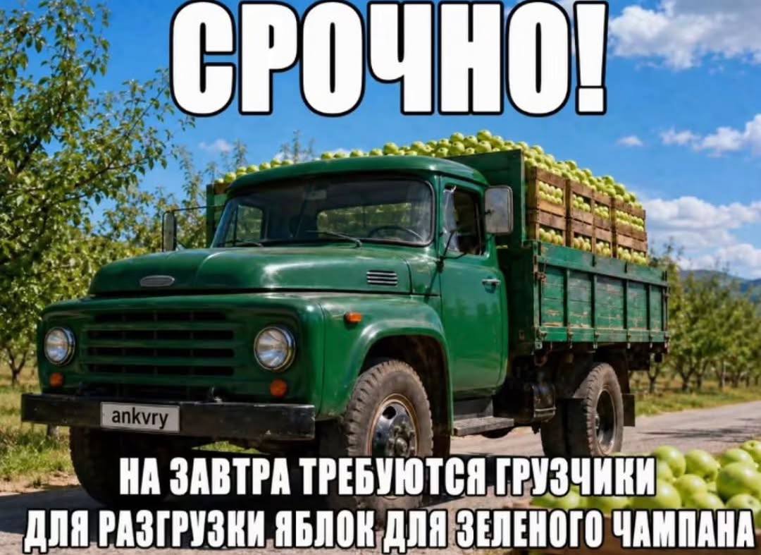 СРОЧНО!” ;1 a Noa 8 a a НА ЗАВТРА ТРЕБУЮТСЯ ДЛЯ РАЗГРУЗНИ ЯБЛОК ДЛЯ ЗЕЛЕНОГО