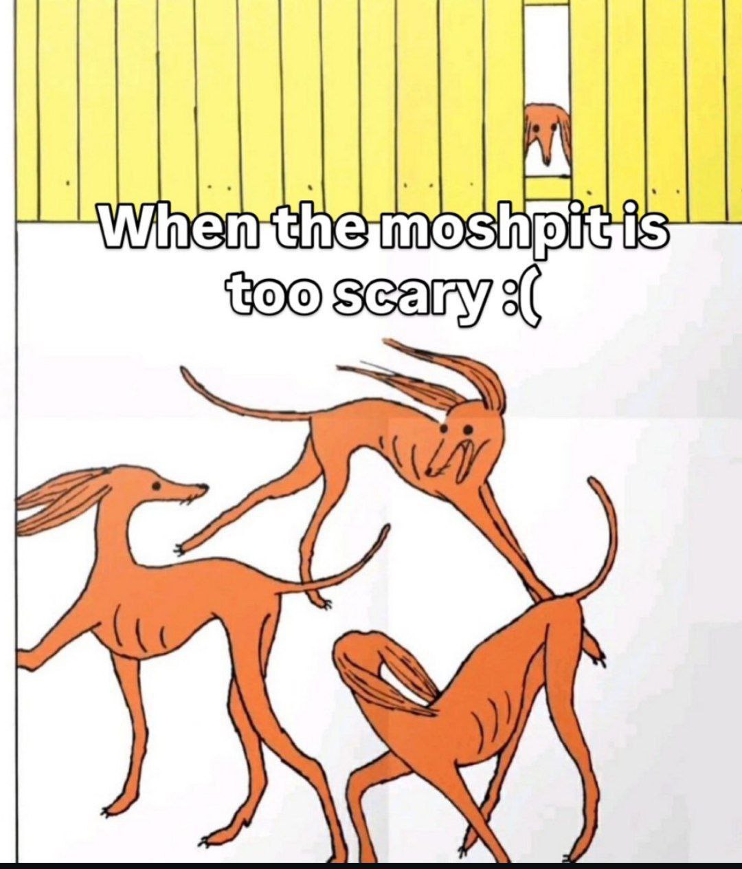 i moshpit