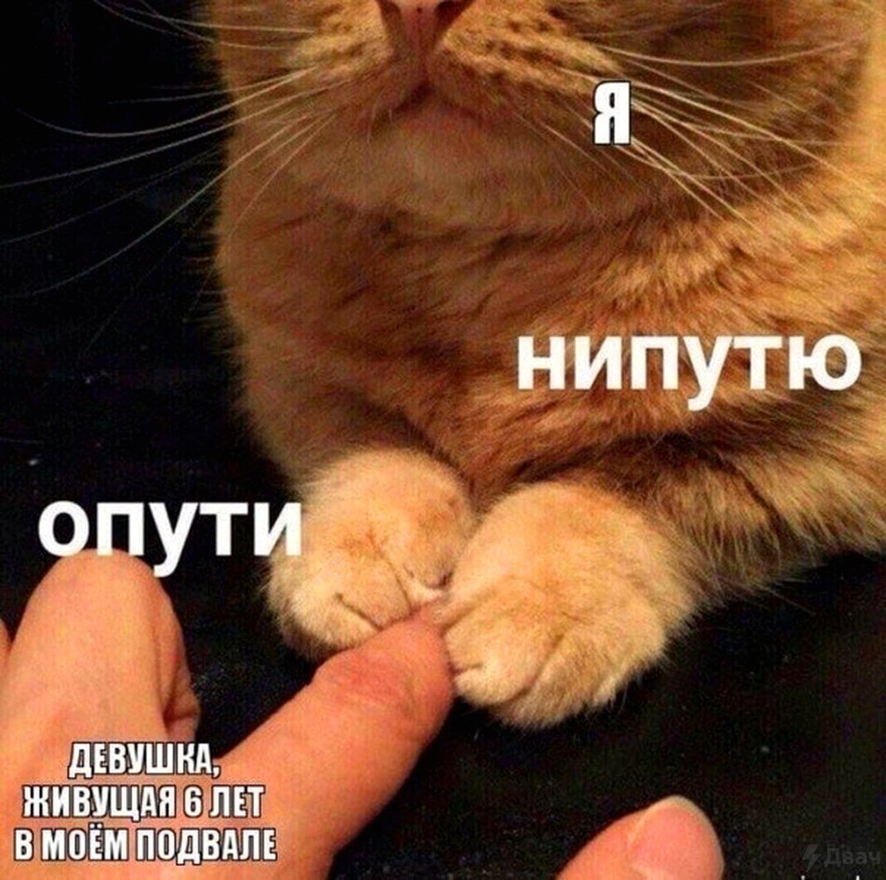 нипутю опути, 4 ДЕВУШНА, ЖИВУЩАЯ 6 ЛЕТ В МОЁМ ПОДВАЛЕ