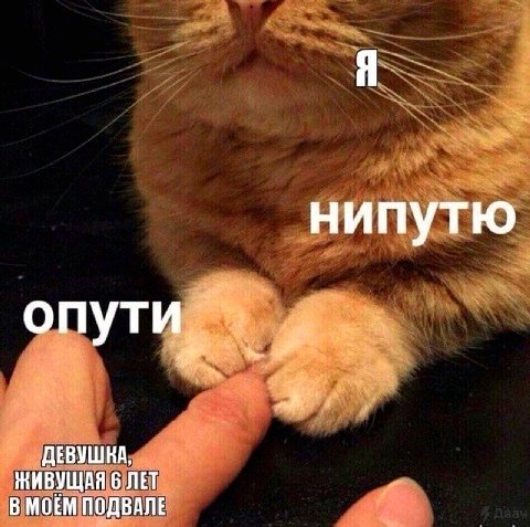 нипутю опути, 4 ДЕВУШНА, ЖИВУЩАЯ 6 ЛЕТ В МОЁМ ПОДВАЛЕ