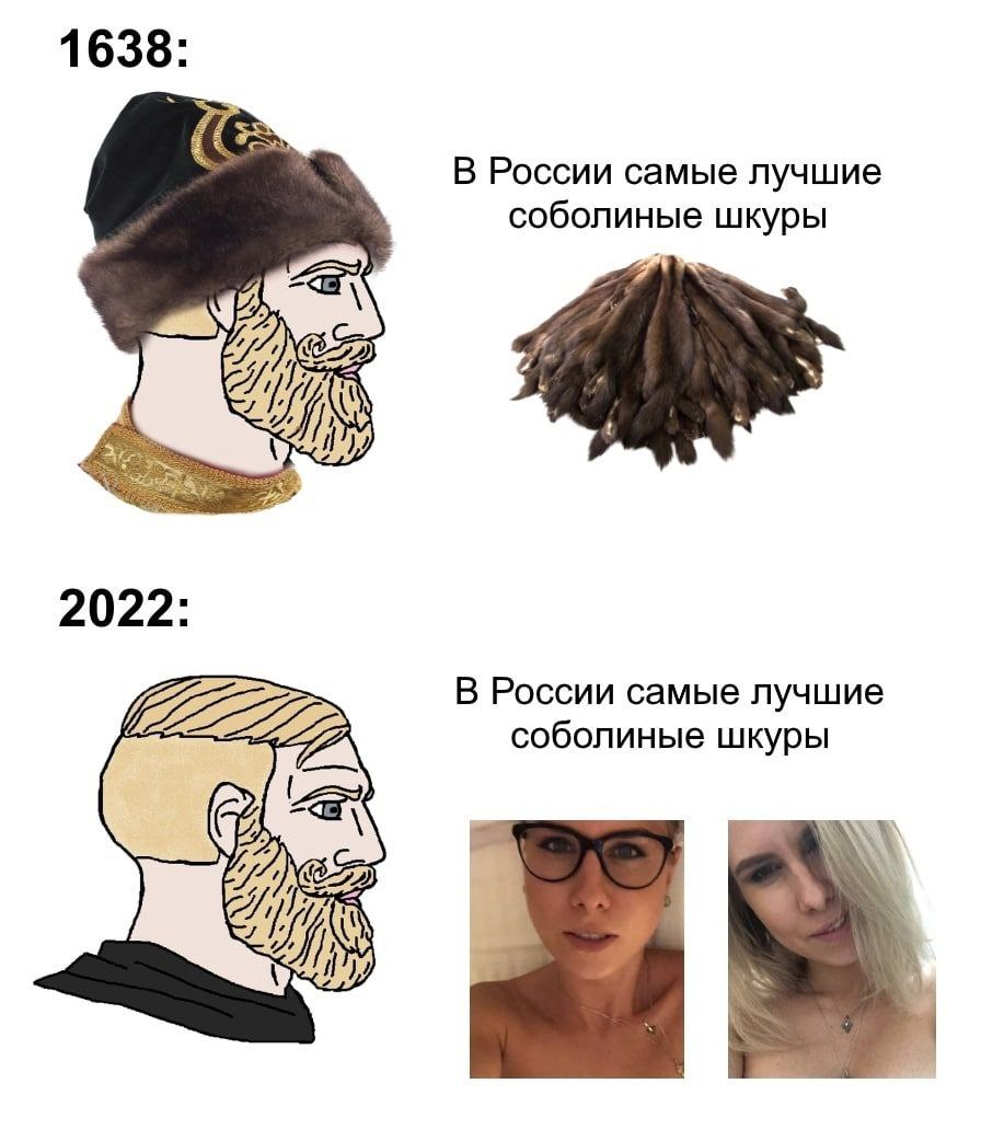 1638 В России самые лучшие соболиные шкуры 2022: В России самые лучшие соболиные шкуры