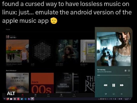 found а cursed way to have lossless music on linux: Just... emulate the android version of the apple music app