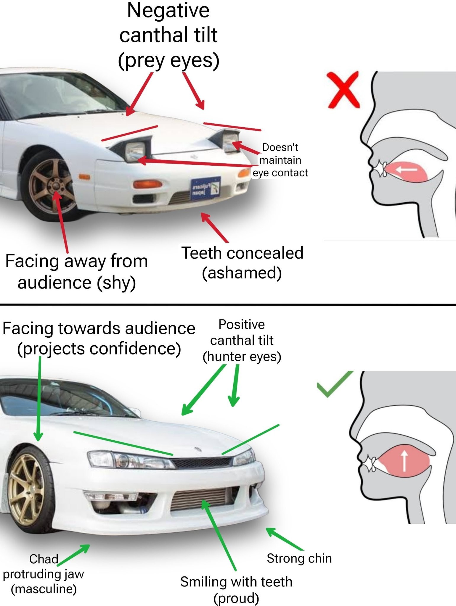 Negative canthal tilt (prey eyes) maintain eye contact Teeth concealed Facing away from (ashamed) audience (shy) Positive Facing towards audience (projects confidence) canthal tilt (hunter eyes) А \4 
