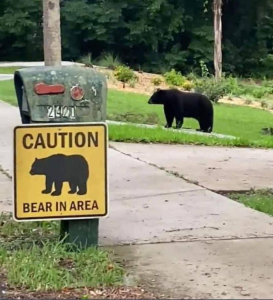 a CAUTION BEAR IN AREA 5 or, #7 4