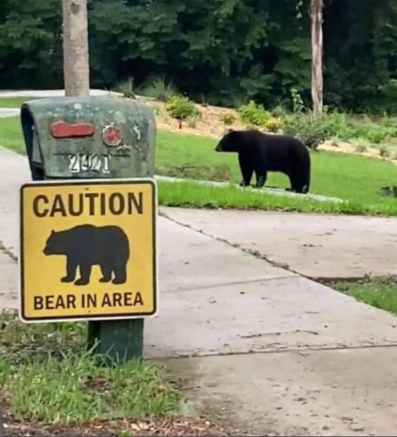 a CAUTION BEAR IN AREA 5 or, #7 4