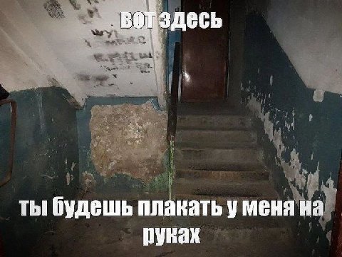 здесь ты будешь плакать у меня на рувах