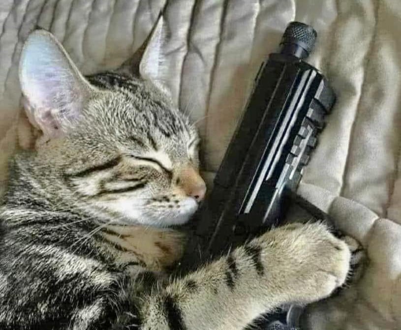 4 В В (4 у 4 7 а у у 4