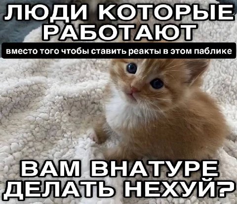ЛЮДИ КОТОРЫЕ вместо того чтобы ставить реакты в этом паблике 1 BAM. BHATYPE к: ДЕЛАТЬ НЕХУИЗ?