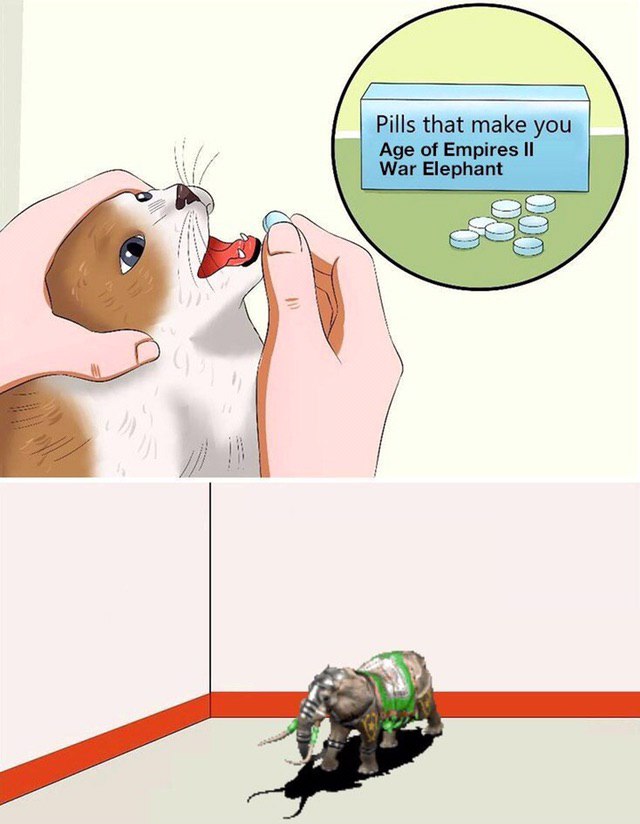 Pills that make you Age of Empires War Elephant Medi