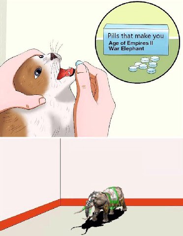 Pills that make you Age of Empires War Elephant Medi
