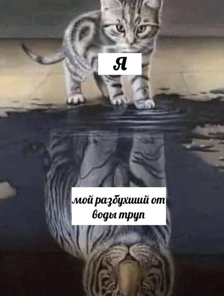 раздухишй воды трул