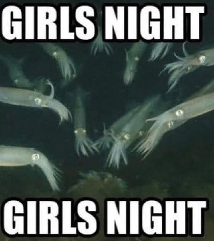 GIRLS NIGHT GIRLS NIGHT