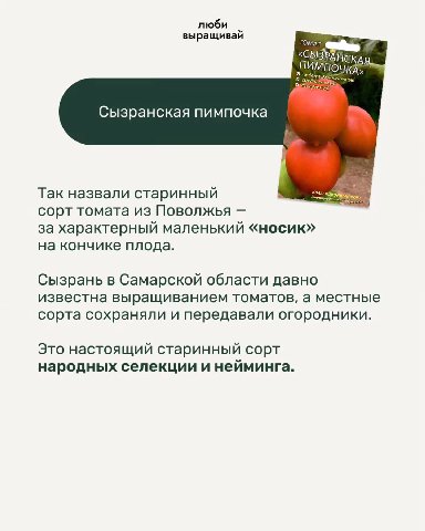 люби выращивай ТОМАТ МПО ЧКА» СКАЯ Сызранская пимпочка Так назвали старинный сорт томата из Поволжья за характерный маленький «носик» на кончике плода. Сызрань в Самарской области давно известна выращ