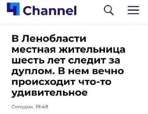 К действию важным новостям
via @iz_lesa_vestimo