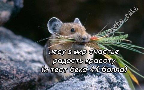 несу счастье радость красоту бека 44 ‘балпа) a