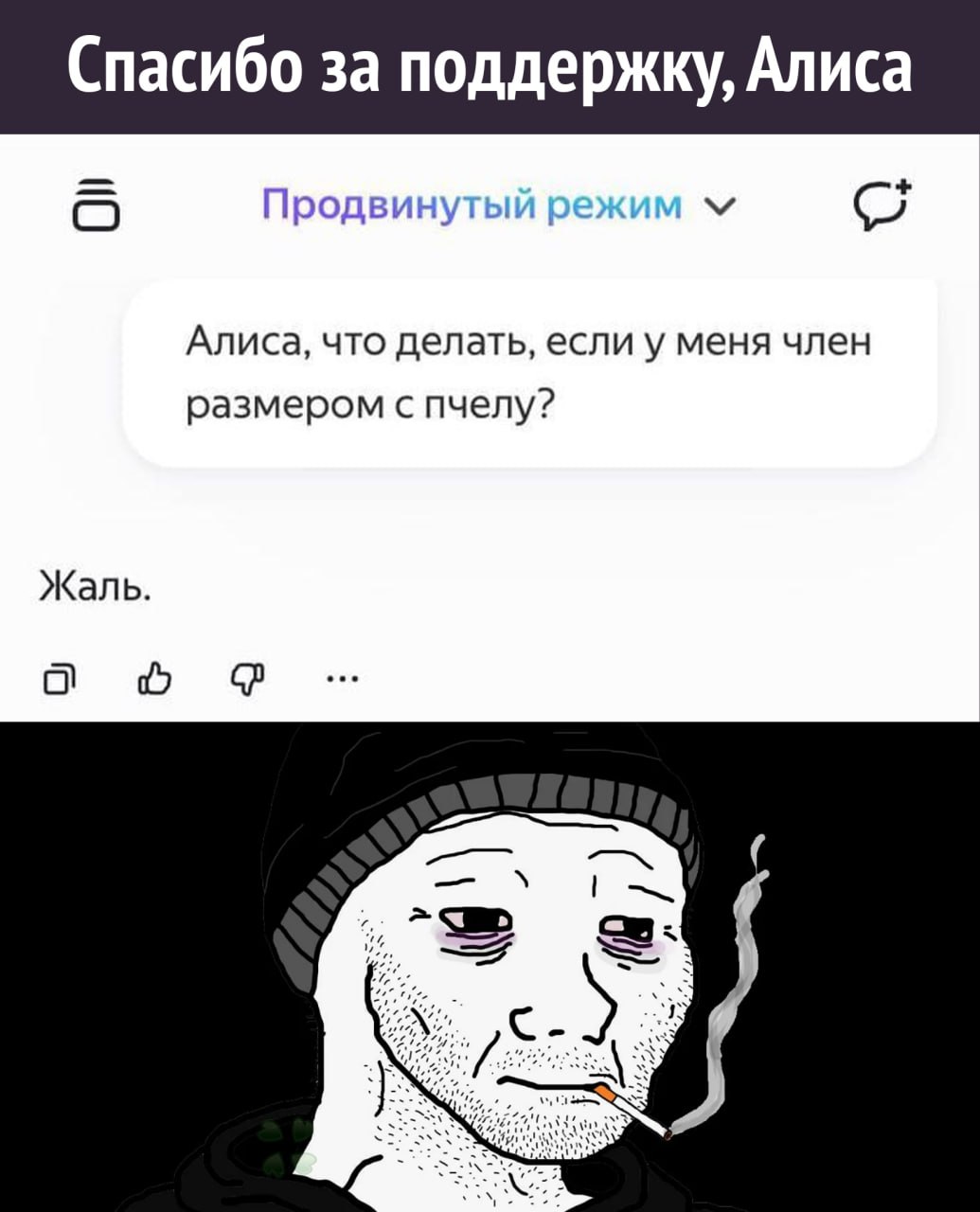 Спасибо за поддержку, Алиса Продвинутый режим Алиса, что делать, если у меня член размером с пчелу? Жаль. 6 a