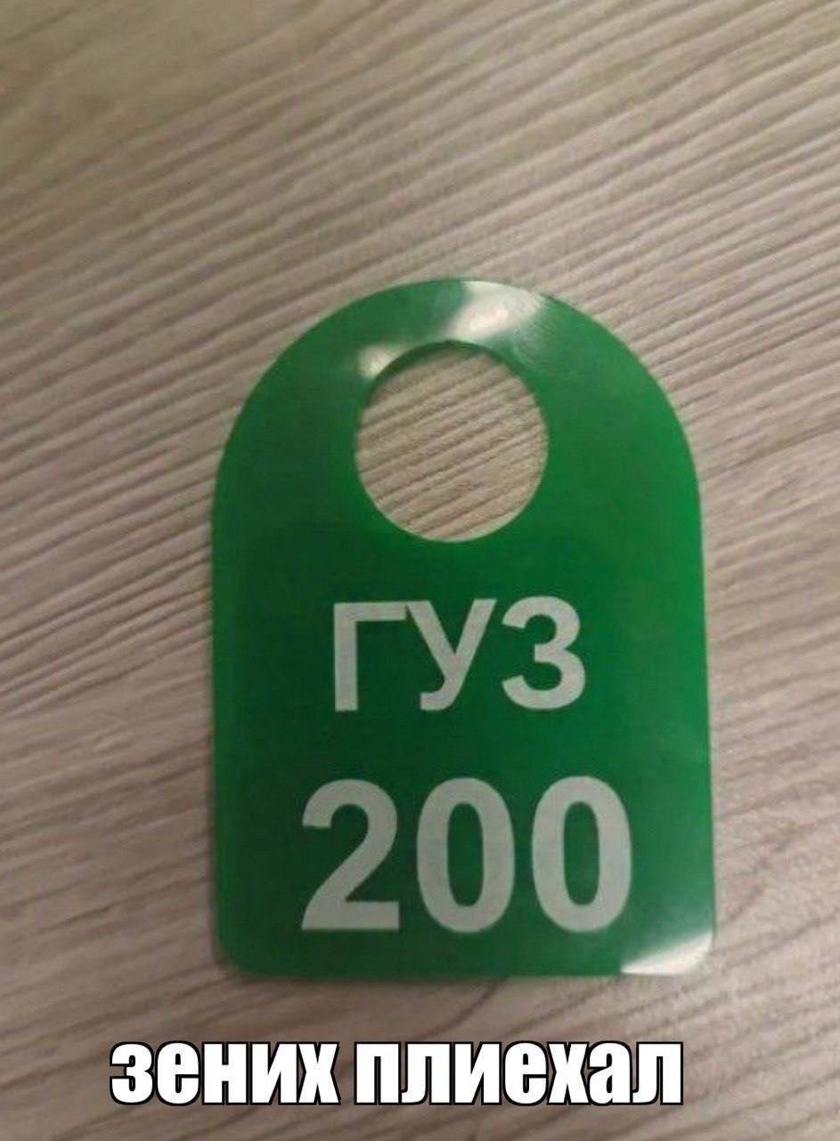 A зених плиехал