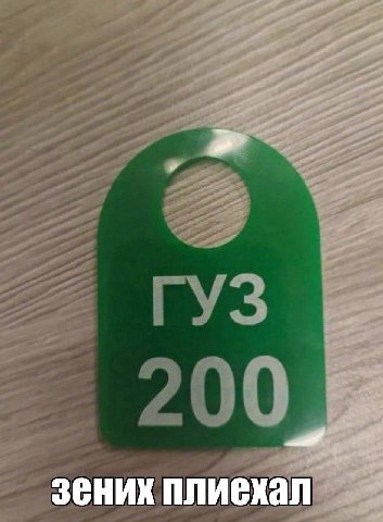 A зених плиехал