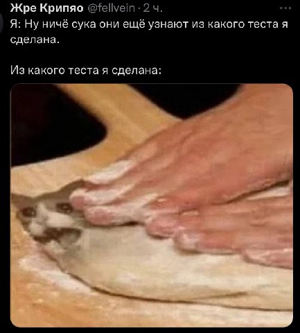 Жре Крипяо Я: Ну ничё сука они ещё узнают из какого теста я сделана. Из какого теста я сделана: вы