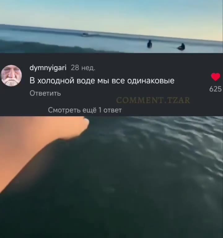 я semen_demOn1 28 нед Эхо локатор просвечивается ad Ответить aS Волнорез ® В холодной воде мы все одинаковые Смотреть ещё 1 ответ “2 — Пушка заряжена, но не стреляет ? @ Sworr На червяка ловит =5