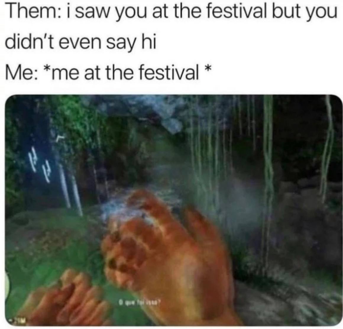 Them: i saw you at the festival but you didn't even say Me: *me at the festival